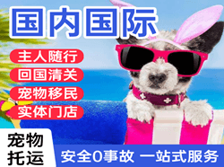 临沧博尚航空空运国际宠物托运 【国
